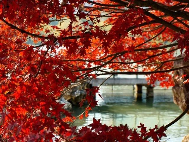 北京号最精彩 | 抢先看！安立路快速化改造工程最新进展