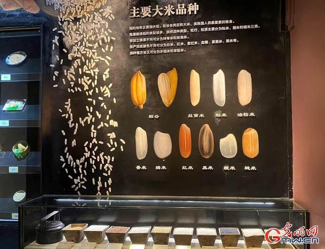 来广东佛山的这座博物馆，看粮食的“前世今生”