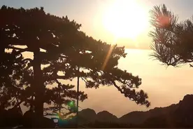 山东泰山：云海日出 蓬勃壮观图片