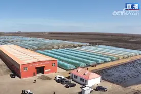 科技赋能春耕春管 “智”耕“数”种绘就希望田野上的新“丰”景图片