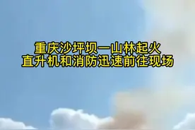 重庆沙坪坝翠峰山发生山火  明火扑灭无人员伤亡图片