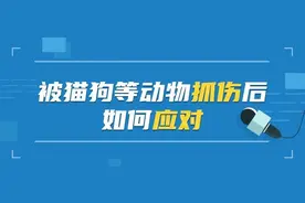 宠物打过疫苗≠你不会感染！被宠物抓伤后应该怎么办？图片