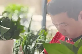 当618遇上以旧换新，转转回收业务增长超30%图片