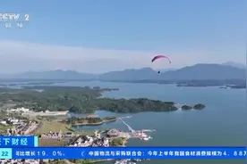 低空游火爆！飞行驾驶执照培训成年轻人消费热点图片