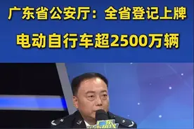 “电鸡”亡人事故同比下滑11%！广州将作为分类管理试点图片