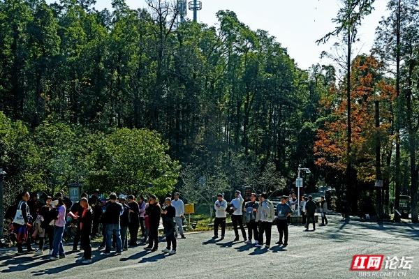 怀化中坡山，层林尽染的氧吧，市民天天逛、摄影家追着拍