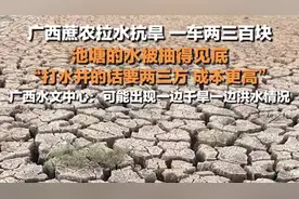 广西蔗农拉水抗旱一车两三百块，广西水文中心：可能出现一边干旱一边洪水情况图片