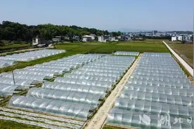 崇阳县白马村：让实事清单变“幸福账单”图片