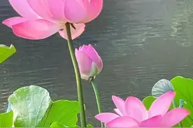 冯衍华：随笔|心灵深处最真挚的歌唱—《笔尖流出的故事》读后感图片