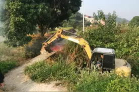 新年开新局，四会龙甫镇蚁田村水陂桥面改造工程动工图片