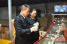 重庆开州鲜鸡蛋首次出口 从三峡库区直供香港图片