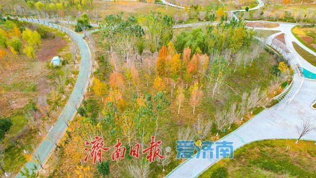 一年四季 泉在济南丨济钢片区中央森林公园初冬如画