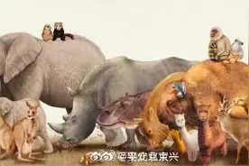 买卖象牙犀牛角？！这很刑！图片