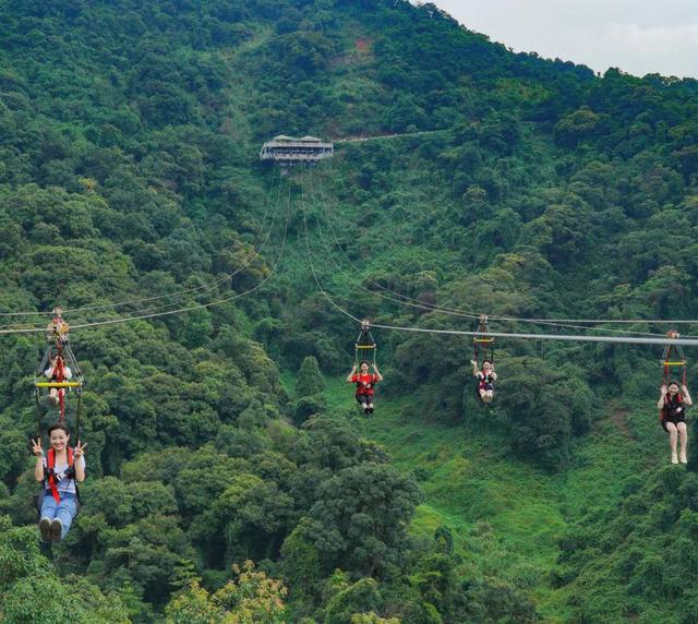 绿美云山丨以森林入药 漫享云山身心疗愈