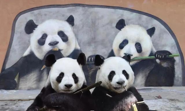 现在就出发！沿着洛阳周边自驾你将能看到...