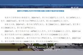 国家外汇局：上半年我国跨境资金流动总体保持合理有序图片