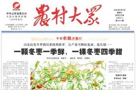千年农脉齐鲁行｜一颗冬枣一季鲜，一棵冬枣四季甜图片