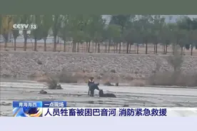 消防救出被困人畜 获救小羊：下次再也不离群了图片