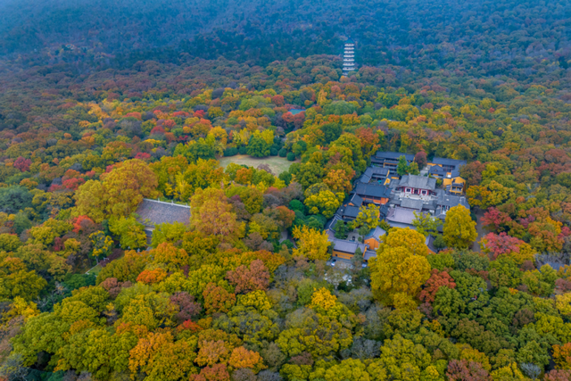 南京钟山风景区发布游览交通指南