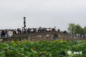 雨天西湖客流量明显回落：收费公园飞来峰人最多 免费公园白堤人最多图片