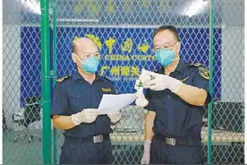 查获袋鼠睾丸工艺品钥匙扣图片