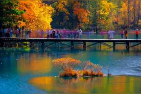 创历史新高！九寨沟景区2024年接待游客已突破511万人次图片