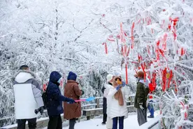 玩雪、泡泉、品年味……金佛山景区春节主题活动精彩纷呈图片
