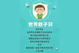 世界蚊子日丨关于蚊子，你了解多少？图片