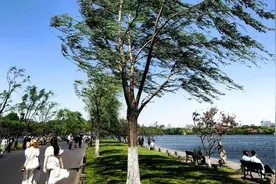 浙江入汛，洗晒抓紧今明两天图片