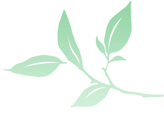 在郎溪，两天一夜还可以这样游！