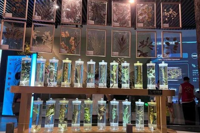 八天长假，带娃来清远深度游！快乐又充实！