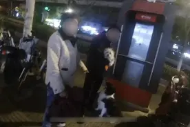 路遇边牧“求”交友，狗主人无奈报警求助图片