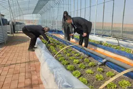 养鱼种菜跨界“联手”图片