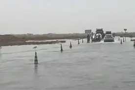 塔克拉玛干沙漠发洪水，水很清还有鱼，没见过的鸟类都来了图片