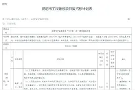 “天下第一汤”将提质增效！附效果图→图片