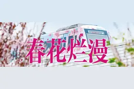 东湖樱花园今晚暂停夜游，在这里可以“云赏樱”图片