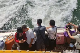 轮渡“停摆”多年，这次又“活”了！图片
