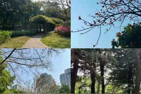 城市笔记：《春天的珠江公园》图片