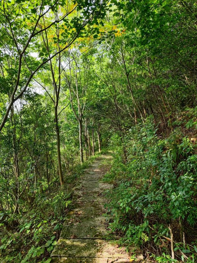 游天台山日记 + 椒江西山小行记