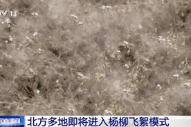 “飞絮”预警！图片