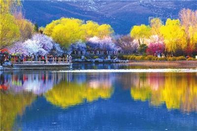 乘西郊线，赴一场春日浪漫之旅