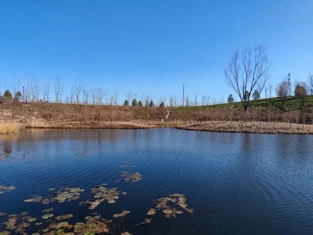 北京冬日限定“奇观”！就到月底！快冲→