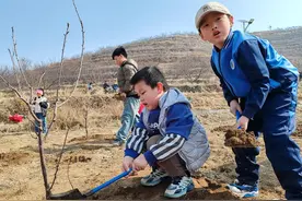 身边榜样·新泰力量｜新泰：“种下”一棵小树苗 让绿色伴爱意成长图片