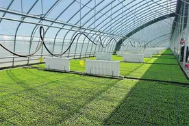 榆中县“生态创新”乡村振兴示范带建设跑出“加速度” “一廊道三中心七片区”勾绘城乡融合新蓝图图片