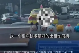 “黄色法拉利”开到上海是否合规？重庆交通委：正在调查图片