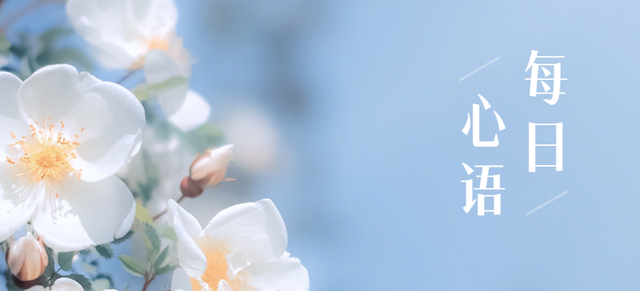 国际邮轮要来了！