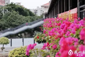 泉州：行走“空中花廊” 感受冬日浪漫图片