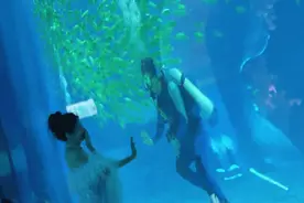 这场“海底告白”，真的太太太好磕了！图片