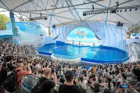 广州海洋馆暑期延至21点闭园，携手动物园“一票通玩”图片