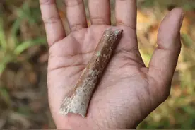 比“霍比特人”还矮小  最后灭绝的早期人类超想象｜科技观察图片